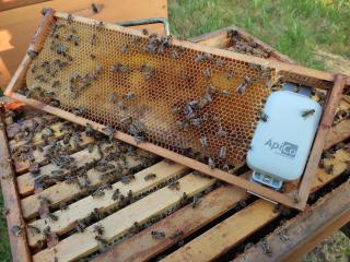 Pokud zloděj ukradne úl s tímto zařízením, včelař jej dokáže vystopovat. | Autor: archiv Jakuba Podivínského