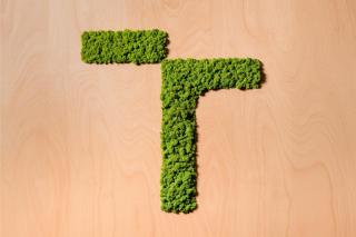 The moss logo of BUT, located at the Institute of Building Structures, Faculty of Civil Engineering, BUT. It was created by Professor Jan Pěnčík. | Author: Jan Prokopius